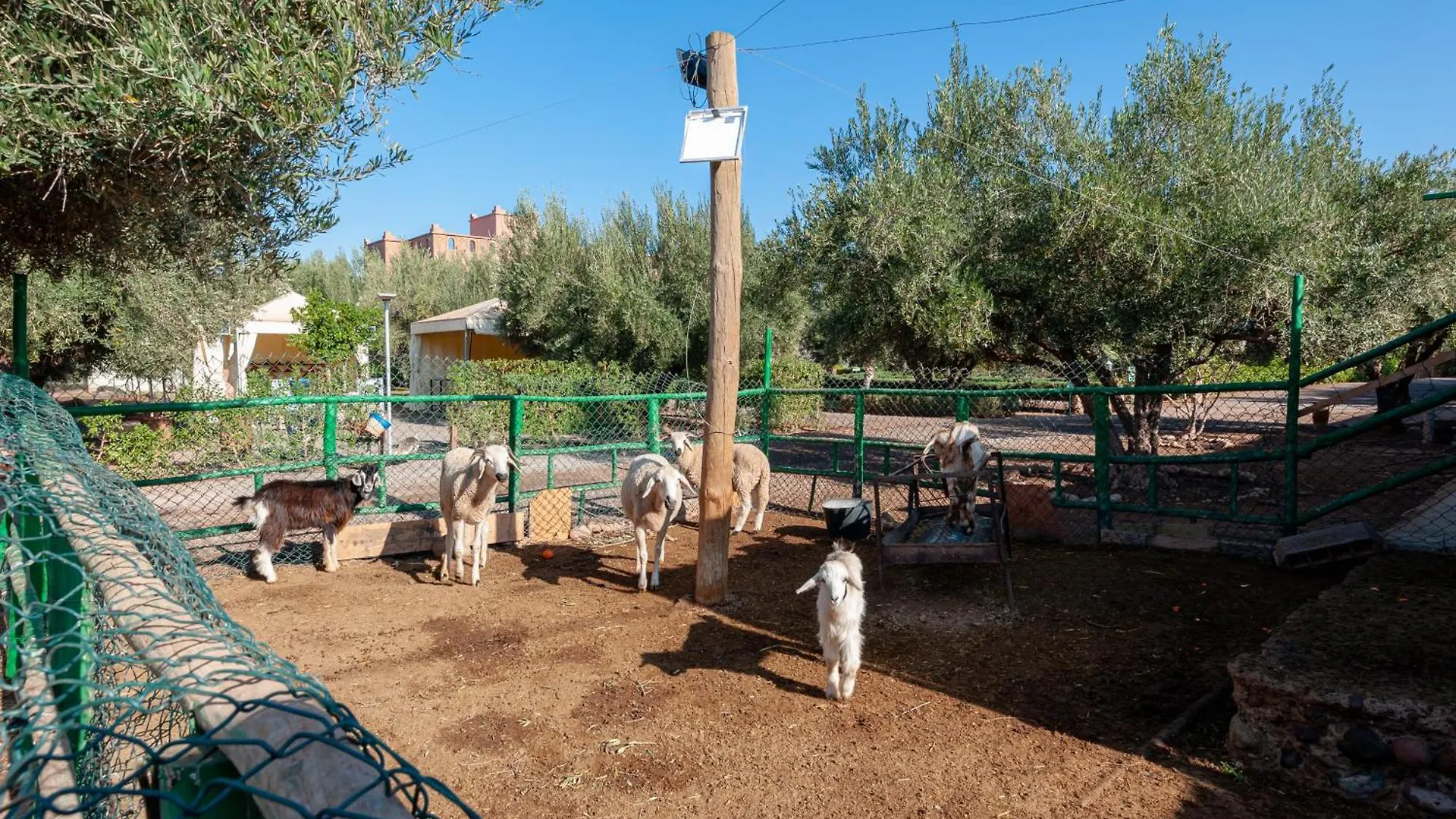 Ferme Sidi Safou & Spa Marrakesh 0*,