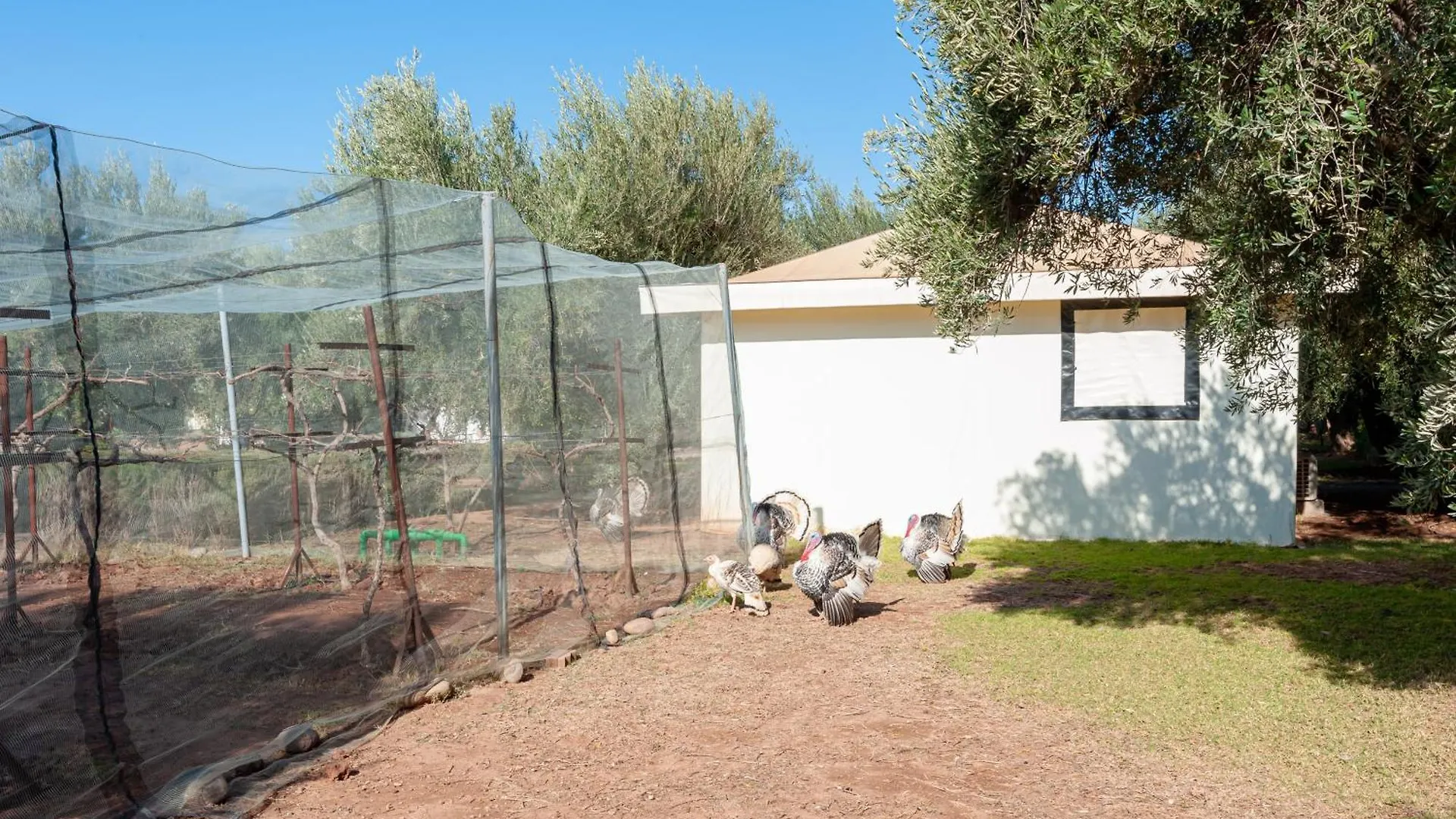 Ferme Sidi Safou & Spa Marrakesh 0*,