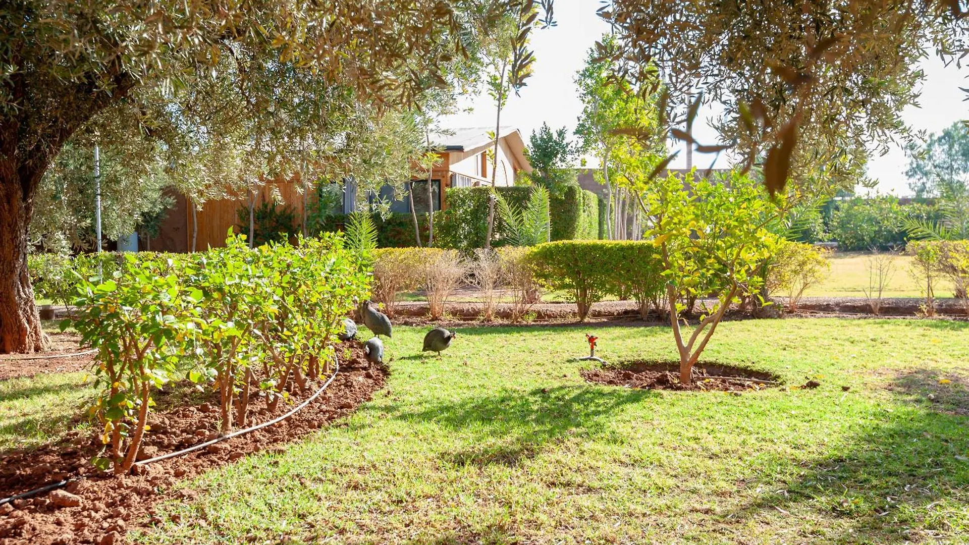 Ferme Sidi Safou & Spa Marrakesh