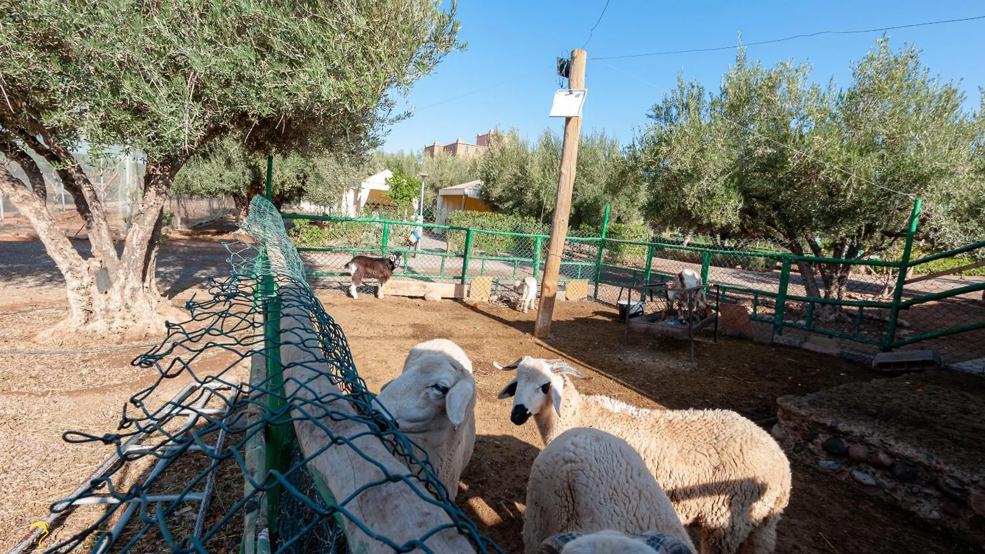 Ferme Sidi Safou & Spa Marrakesh Morocco